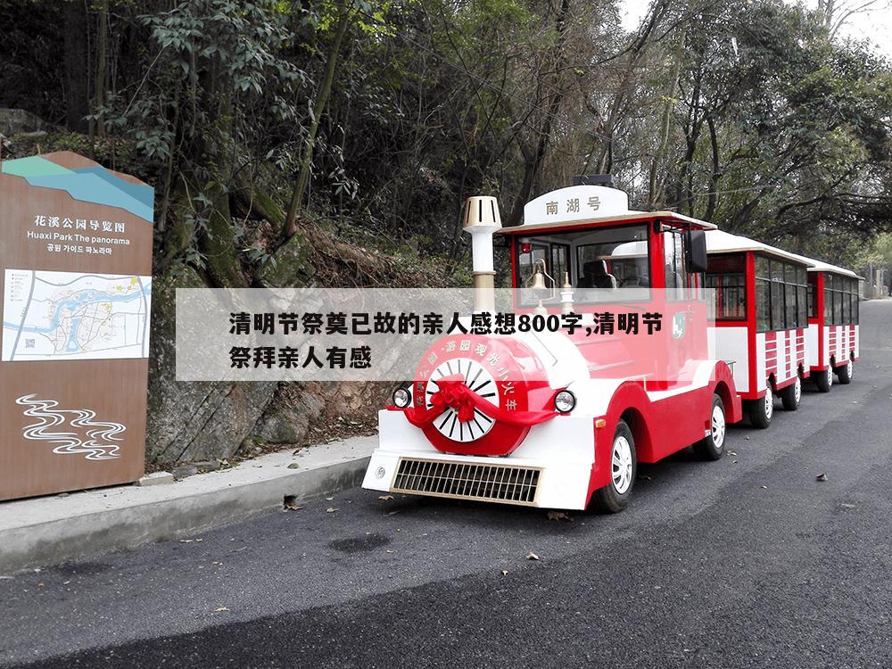 清明节祭奠已故的亲人感想800字,清明节祭拜亲人有感