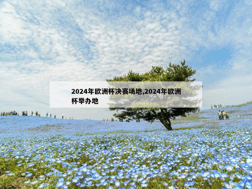 2024年欧洲杯决赛场地,2024年欧洲杯举办地