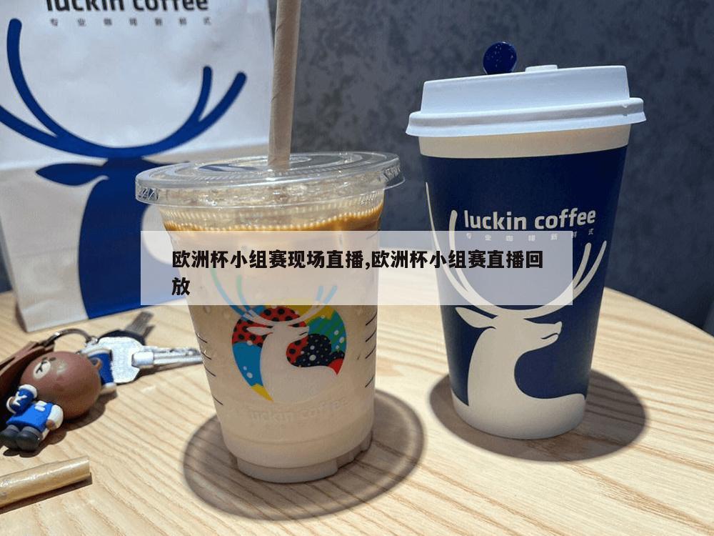 欧洲杯小组赛现场直播,欧洲杯小组赛直播回放