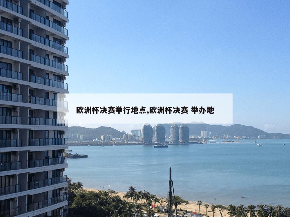 欧洲杯决赛举行地点,欧洲杯决赛 举办地