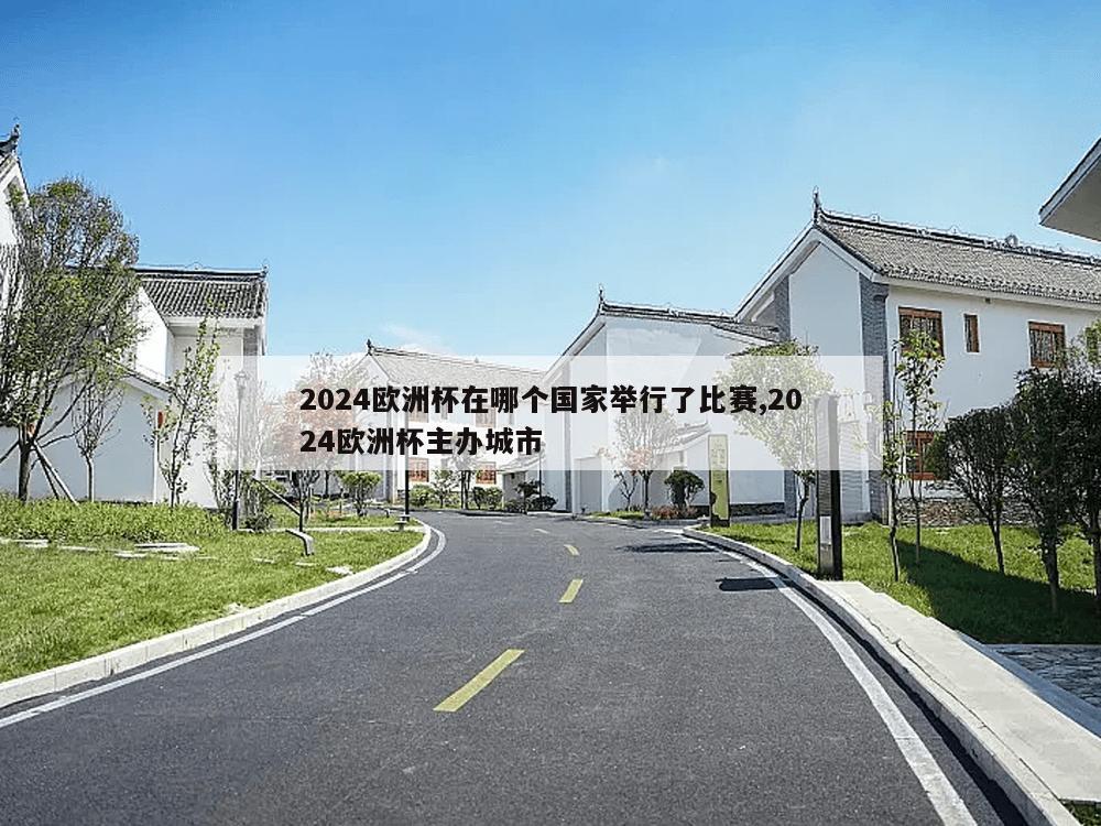 2024欧洲杯在哪个国家举行了比赛,2024欧洲杯主办城市