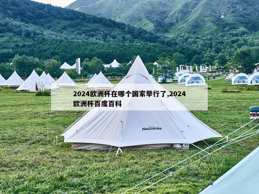 2024欧洲杯在哪个国家举行了,2024欧洲杯百度百科